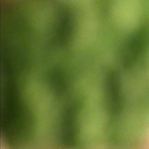 Meet your Posher, Vinh